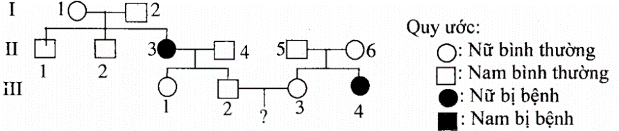 Cho sơ đồ phả hệ sau mô tả sự di truyền của một bệnh ở người do một trong hai allele của một gene quy định, allele trội là trội hoàn toàn. (ảnh 1)