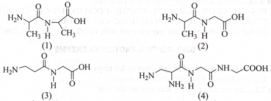 Cho các chất có công thức cấu tạo như sau: Dung dịch chất nào có môi trường base? A. Chất (1).	B. Chất (3).	C. Chất (2).	D. Chất (4). (ảnh 1)